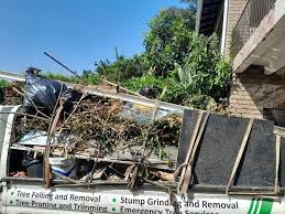 Best Shed Removal  in Campbellsville, KY