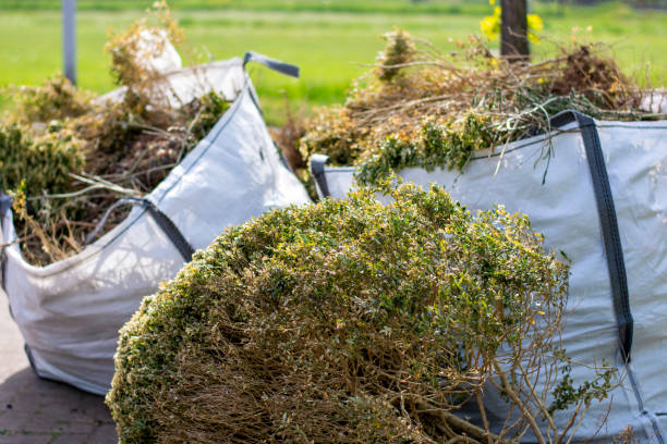 Professional Junk Removal Services in Campbellsville, KY
