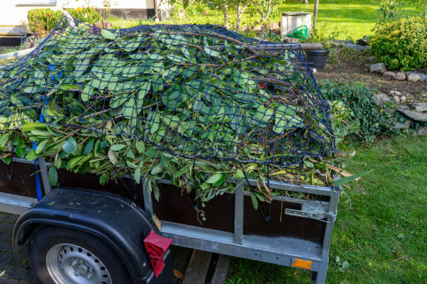 Best Construction Debris Removal  in Campbellsville, KY